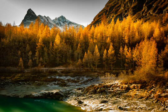 Autumn trees with snow capped mountains in the background and a mountain lake in the foreground