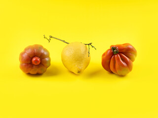 Italian lemon fruit and tomato vegetables on yellow background. Ugly but delicious organic fruit food concept