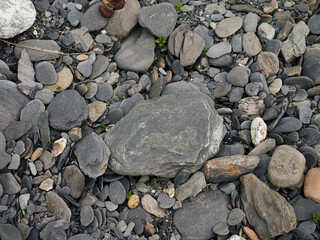 rocks of a river bed