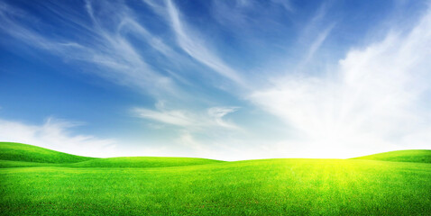 Green grass field and clear blue sky