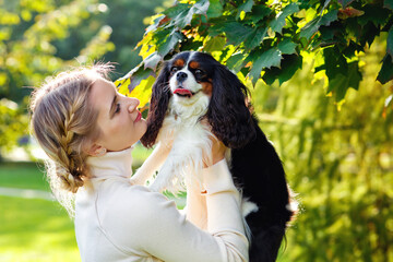 Young pretty blonde holding a small dog in the Park in the summer, smiling. Cavalier king Charles Spaniel with his master on a walk.