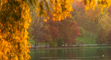 Autumn sunset in Bucharest, Romania, with vivid fall colors in Tineretului Park