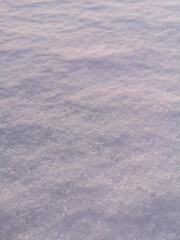 Snow in the rays of the sunset as a background.