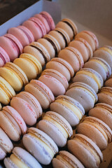 Colored macaroons. Sweet dessert cake for the whole family. Set with different flavors