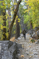 Man hiking in the woods