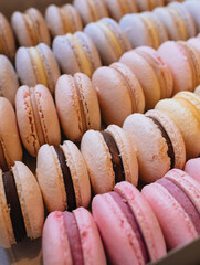 Colored macaroons. Sweet dessert cake for the whole family. Set with different flavors