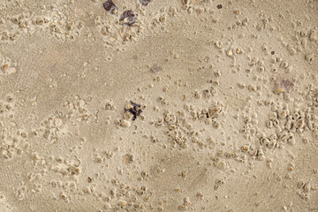 Grey stone surface texture for background design