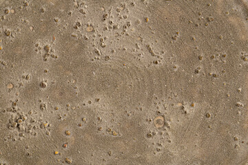 Grey stone surface texture for background design