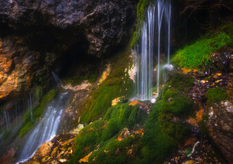 Fototapeta premium waterfall in the forest