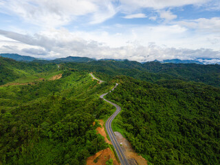 Fototapeta na wymiar Aerial view of road In beautiful green forest and blue sky background
