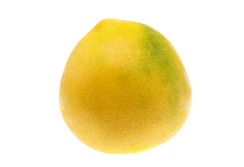 pamela fruit isolated