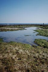 고요하고 잔잔한 바다의 풍경