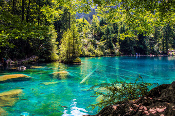 Lake Blausee in Switzerland, a magnificent turquoise lake transparent in the Bernese Oberland, noted for being intended for a family audience