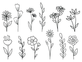 set of flowers vector hand drawn