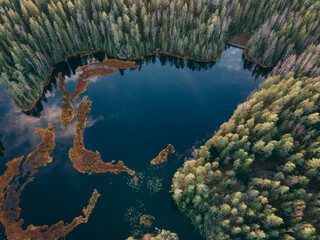 Fototapeta na wymiar Aerial view to Finnish landscape in Nuuksio national park.