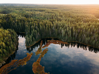 Aerial view to Finnish landscape in Nuuksio national park. © kriina2000