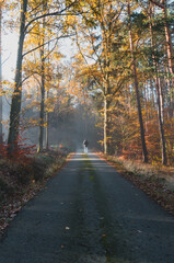 Young man walking on road in misty morning fog autumn forest . Czech landscape