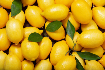 Fresh lemons with leaves, as background