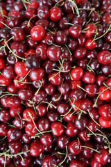 bright red cherry berries vertical image