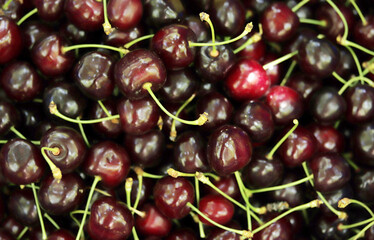  Fresh ripe cherries. Food background.
