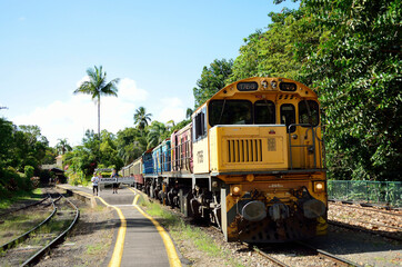 Obraz premium キュランダ鉄道