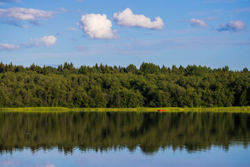View of the lake and forest. Beautiful summer landscape. Red boat in the distance. Outdoor recreation and fishing on the lake. Travel and vacation in the countryside.