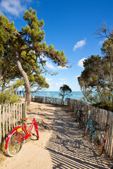 Vélo en bord de mer sur les plages de l'île de Noirmoutier en Vendée. - obrazy, fototapety, plakaty
