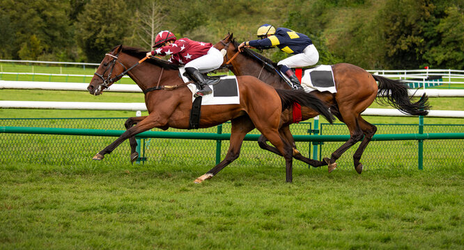 Deux chevaux faisant la course sur un hippodrome en France.