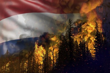 Forest fire natural disaster concept - infernal fire in the woods on Netherlands flag background - 3D illustration of nature