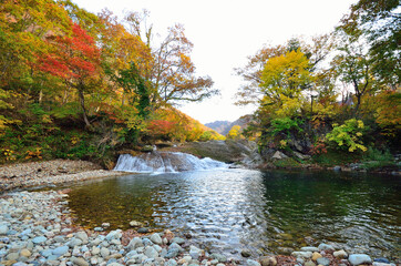 かじか滝の紅葉