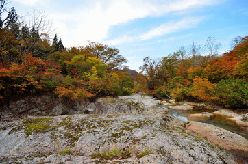 かじか滝の水流