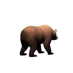Wild animals - bear is walking in view from behind - isolated on white background - 3D illustration