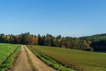Fototapeta na wymiar Feldweg führt in den Herbstwald hinein. Frische Saat auf den Feldern. Tag. Fränkische Schweiz, Lindenhardt, Bayern. 2020 (2)