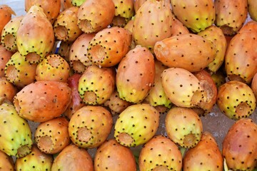 Group of cactus pear fruit in Antalya, Turkey.