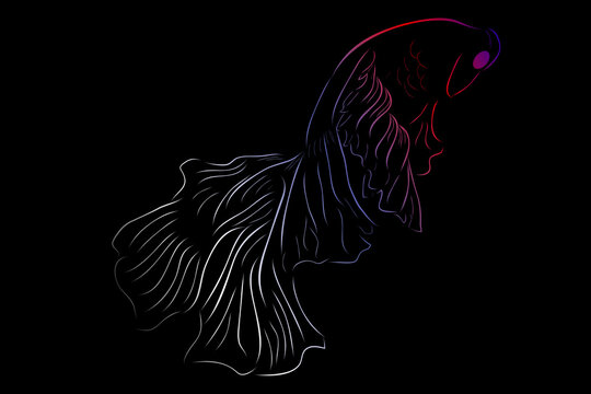 Simple Colorful Outline Vector Betta or siamese fighting fish, on Black background
