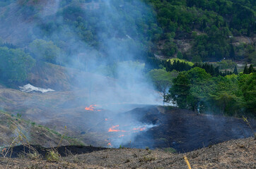 樽口峠の山焼き
