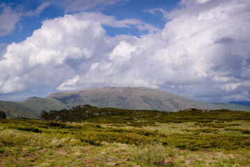 Green valley on Balkan Mountains in Serbia