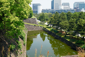 白鳥濠（皇居：皇居東御苑）