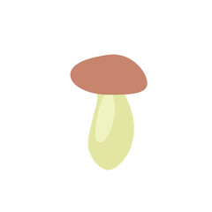 boletus mushroom on white background