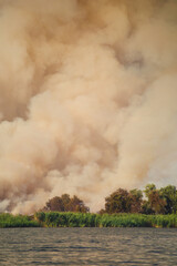 Fototapeta premium Large clouds of smoke, fire in nature.