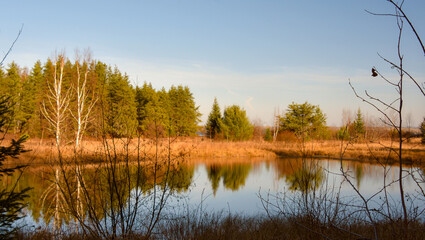 Part of a huge lake in Quebec in November. Nice beach