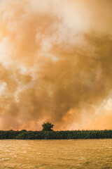 Obraz na płótnie Canvas Large clouds of smoke, fire in nature.