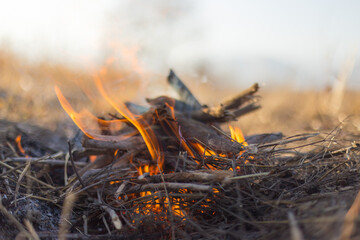 light a fire in nature for food