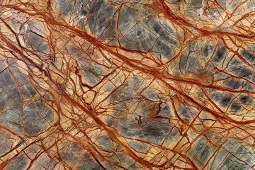 Foto op Canvas Rainforest Green Extra - gepolijste natuurlijke marmeren stenen plaat, textuur voor interieur, achtergrond of ander ontwerpproject. © Dmytro Synelnychenko