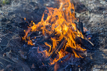 light a fire in nature for food