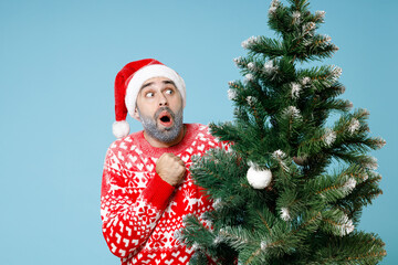 Shocked Northern bearded man frozen icy snow face in Santa hat Christmas sweater hold fir tree clenching fist isolated on blue background studio. Happy New Year merry holiday winter time concept.