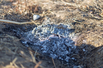 Picnic in nature. Cooking potatoes over a fire.
