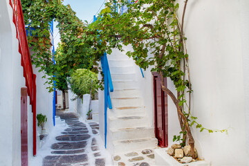 Fototapeta na wymiar One of the lovely tiny white streets of one-story houses in Mykonos with a vine bush that creates shade 