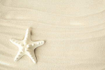 Fototapeta na wymiar A background of fine clean sand and a starfish with space for text. Banner, advertisement, poster.