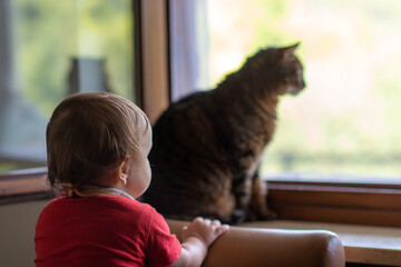 Baby with cat at window